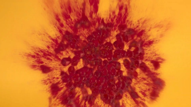 Video Reference N3: yellow, orange, close up, flower, macro photography, dandelion, organism, sky, petal, computer wallpaper, Person