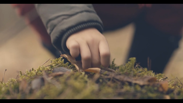Video Reference N13: Hand, Grass, Finger, Plant, Human, Photography, Adaptation, Floral design, Herb, Soil