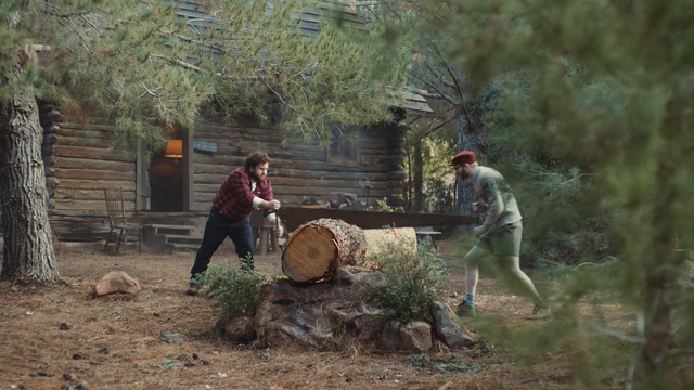 Video Reference N3: Logging, Tree, Lumberjack, Woodland, Wood, Plant, Wood chopping, Forest, Person