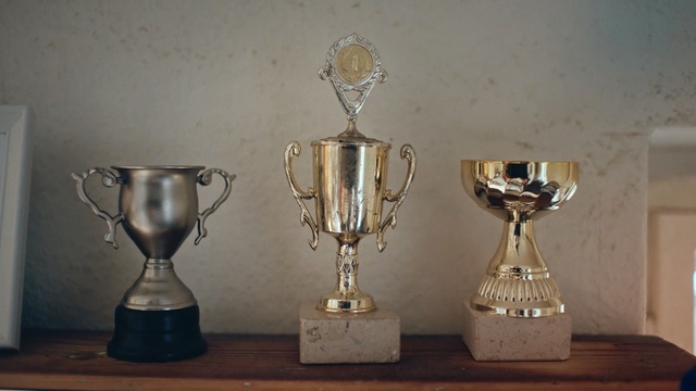 Video Reference N0: Trophy, Award, Brass, Drinkware, Metal, Chalice, Glass, Tableware, Person