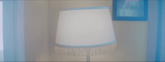 Video Reference N5: Lampshade, Lighting accessory, Lighting, Light fixture, Lamp, Room, Home accessories
