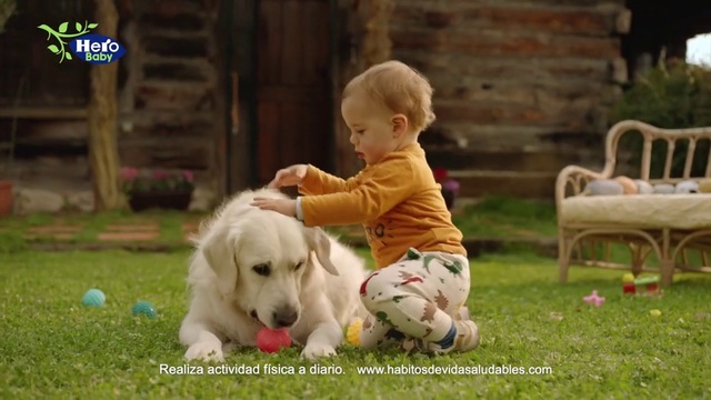 Video Reference N0: Dog, People in nature, Grass, Happy, Carnivore, Ball, Toddler, Dog breed, Leisure, Companion dog