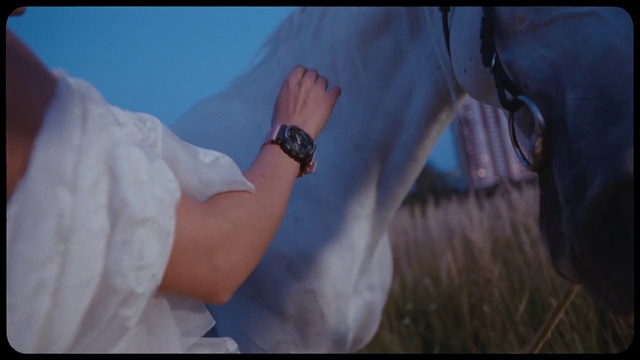 Video Reference N5: Hand, Human, Horse, Photography, Mane, Screenshot, Gesture, Stallion
