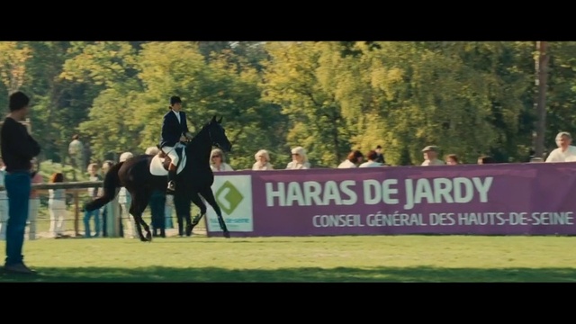 Video Reference N8: Horse, Animal sports, Mammal, Sports, Bridle, Vertebrate, English riding, Eventing, Equestrianism, Halter