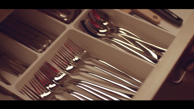 Video Reference N0: Cutlery, Fork, Tableware, Metal