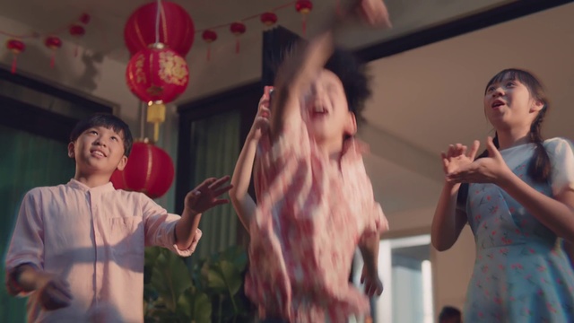 Video Reference N4: Fun, Event, Flesh, Performance, Gesture