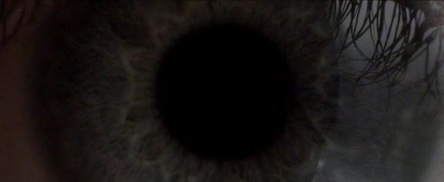 Video Reference N0: Black, Darkness, Eye, Iris, Organ, Atmosphere, Eyelash, Circle