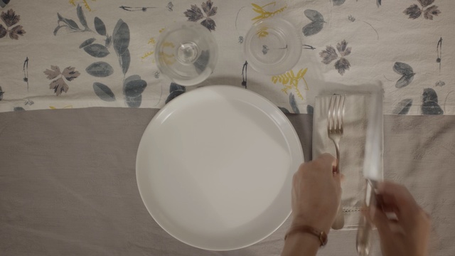 Video Reference N2: Dishware, Plate, Porcelain, Tableware, Platter, Saucer, Ceramic, Linens, Cutlery, Fork, Person