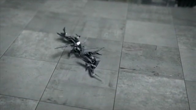 Video Reference N6: Floor, Flooring, Black-and-white, Tile, Insect, Fictional character