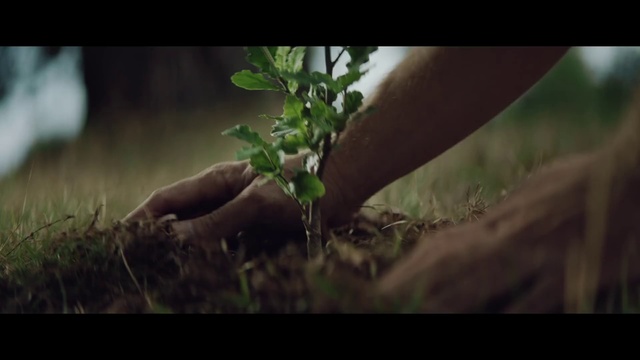 Video Reference N0: Nature, Leaf, Wildlife, Plant, Tree, Soil, Organism, Branch, Grass, Landscape