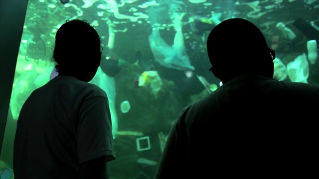 Video Reference N2: Green, Water, Organism, Adaptation, Photography, Underwater, Marine biology, World, Aquarium, Person