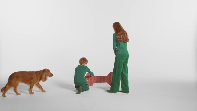 Video Reference N2: Dog, Sleeve, Gesture, Carnivore, People in nature, Companion dog, Toy, Dog breed, Working animal, Fun