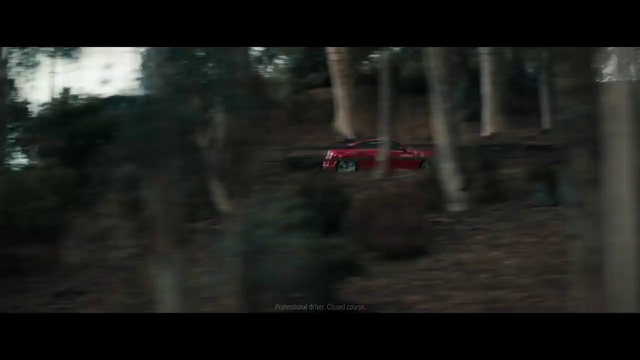 Video Reference N6: World rally championship, Woodland, Rallying, Tree, Darkness, Off-roading, Forest, Vehicle, Off-road vehicle, Soil
