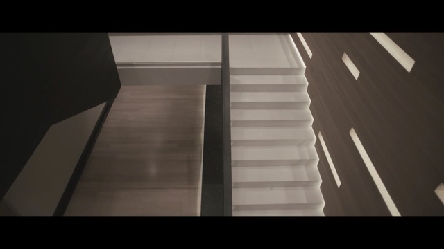 Video Reference N3: black, stairs, light, architecture, floor, daylighting, darkness, wood, line, handrail