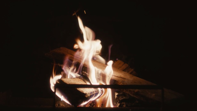 Video Reference N1: flame, fire, darkness, heat, performance art, event, performing arts, concert dance, modern dance, campfire