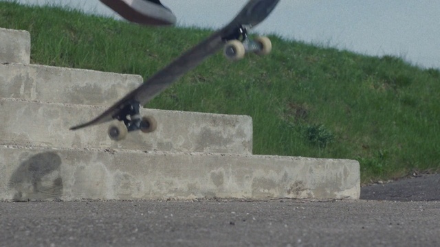 Video Reference N1: bird, asphalt, grass, sports equipment, freebord, beak, skateboarding