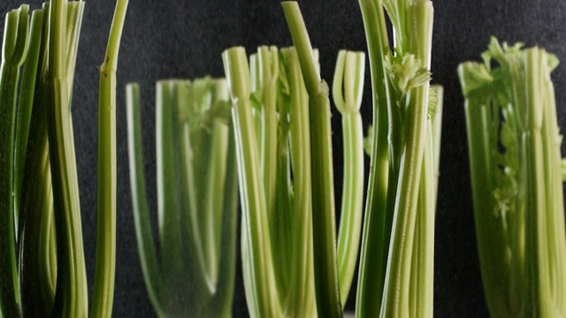 Video Reference N1: Plant, Food, Vegetable, Grass, Celery, Leek, Grass, Plant stem, Garlic chives, Scallion