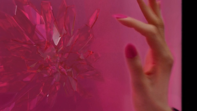 Video Reference N1: Pink, Red, Magenta, Finger, Hand, Close-up, Petal, Nail, Photography, Flesh