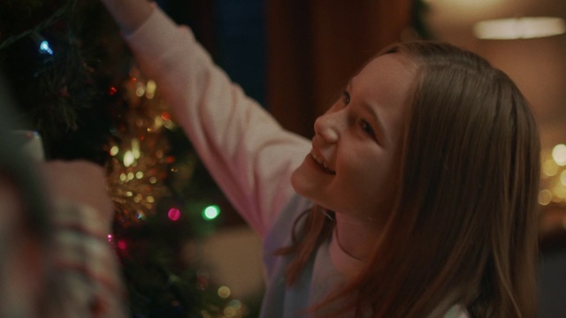 Video Reference N2: Hair, Christmas, Fun, Long hair, Event, Brown hair, Smile, Blond, Tree, Holiday