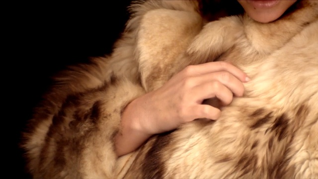 Video Reference N1: fur clothing, fur, textile, cat, whiskers, snout, material