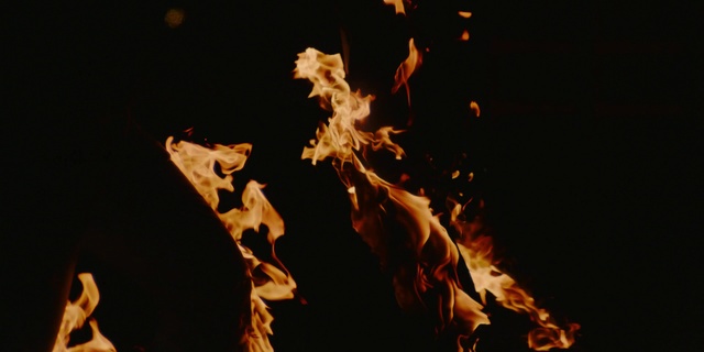 Video Reference N3: Flame, Heat, Fire, Organism, Event, Performance art