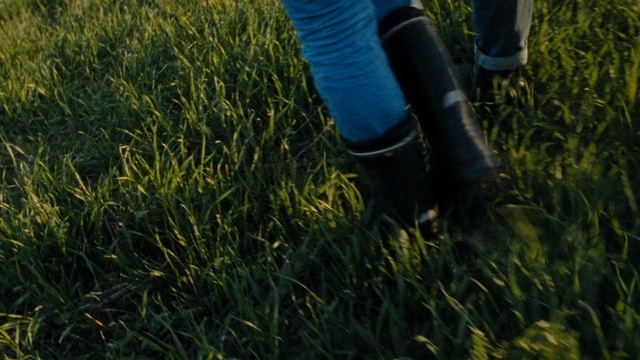 Video Reference N2: grass, green, plant, grass family, lawn, meadow, sunlight, tree, field, grassland