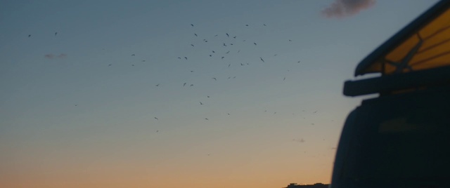 Video Reference N1: Sky, Blue, Cloud, Flock, Bird, Bird migration, Animal migration, Evening, Meteorological phenomenon, Landscape