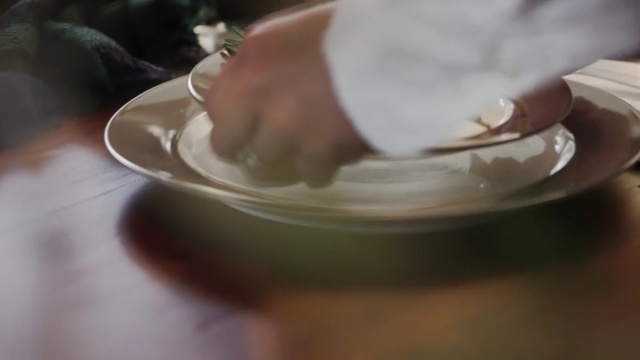 Video Reference N2: Hand, Food, Dishware, Plate, Tableware, Cuisine, Porcelain, Dish, Comfort food, Person