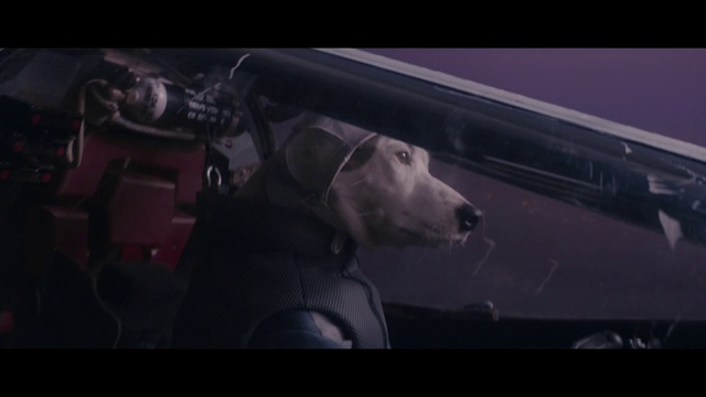 Video Reference N2: Darkness, Mode of transport, Screenshot, Fictional character, Digital compositing, Sporting Group, Movie, Guard dog, Canidae