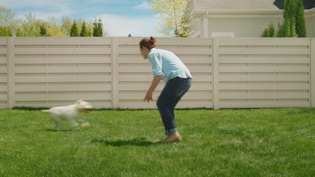 Video Reference N2: lawn, grass, yard, backyard, obedience trial, plant, obedience training, fence, dog like mammal, play, Person
