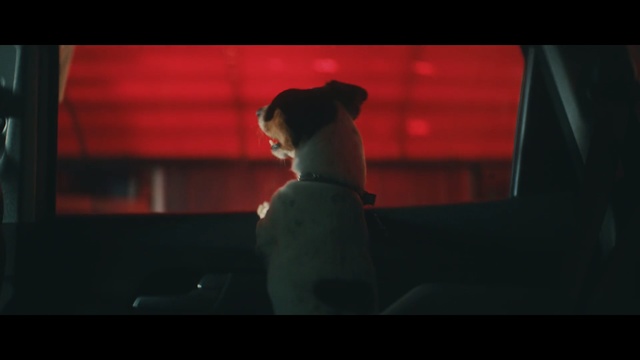 Video Reference N2: Red, Darkness, Room, Photography, Space, Screenshot