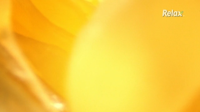 Video Reference N9: Yellow, Orange, Amber, Close-up, Macro photography, Plant