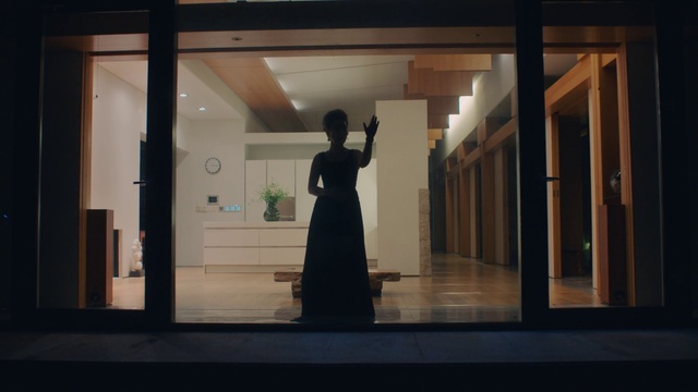 Video Reference N1: Standing, Dress, Photography, Window, Room, Architecture, Door