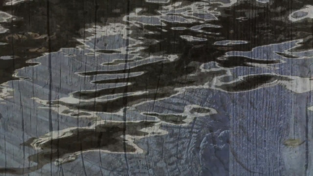 Video Reference N1: reflection, water, tree, geological phenomenon, wood, geology, winter, pattern, formation, ice