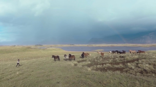 Video Reference N0: Grassland, Herd, Steppe, Ecoregion, Sky, Natural environment, Pasture, Atmospheric phenomenon, Plain, Savanna