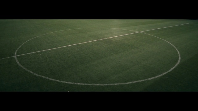 Video Reference N0: Sport venue, Green, Leaf, Grass, Circle, Stadium, Line, Atmosphere, Football, Plant