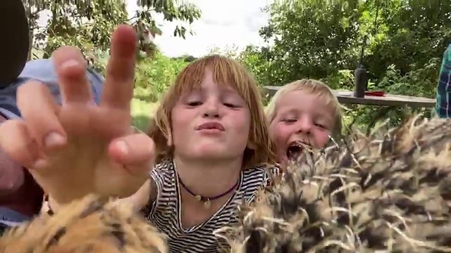 Video Reference N5: People, Finger, Adaptation, Hand, Thumb, Fun, Tree, Gesture, Child, Plant