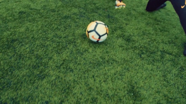 Video Reference N2: Soccer ball, Football, Grass, Ball, Green, Artificial turf, Lawn, Soccer, Sports equipment, Grass family