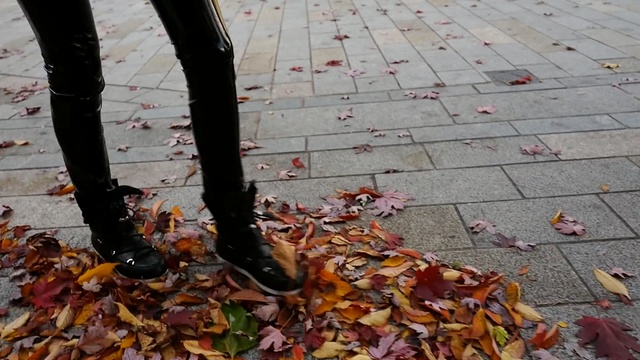 Video Reference N4: leaf, autumn, shoe, tree, asphalt, Person