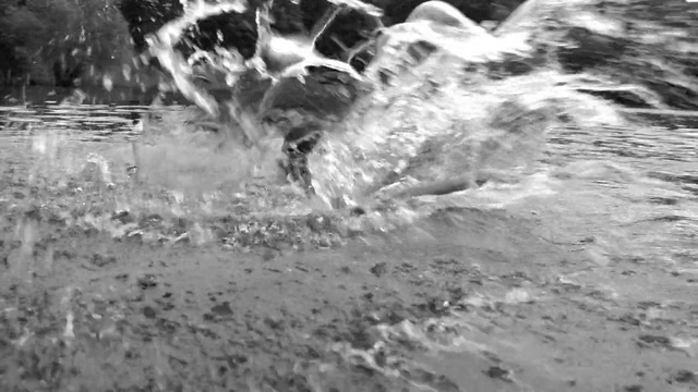 Video Reference N0: Water, Black-and-white, Monochrome photography, Wave, Monochrome, Photography, Geological phenomenon, Soil