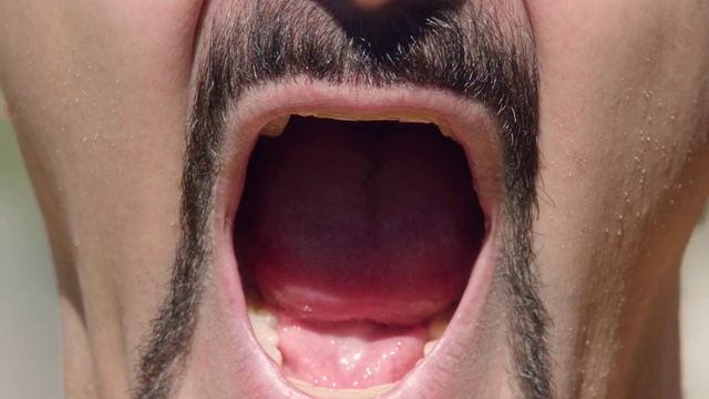 Video Reference N2: Hair, Face, Tongue, Mouth, Lip, Close-up, Nose, Skin, Organ, Chin