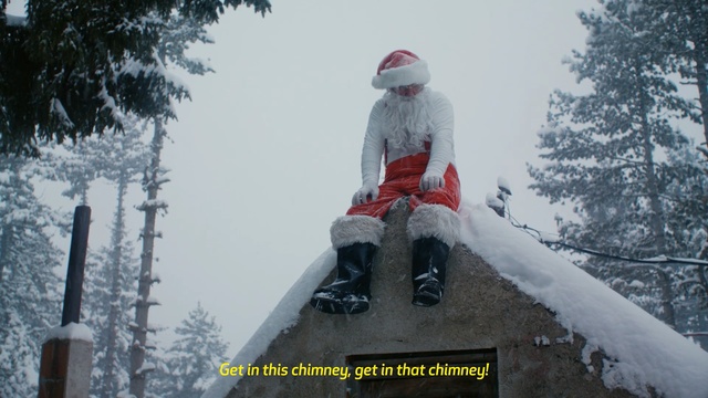 Video Reference N2: snow, tree, winter, freezing, geological phenomenon, adventure, ice, blizzard, winter storm, mountaineering, Person