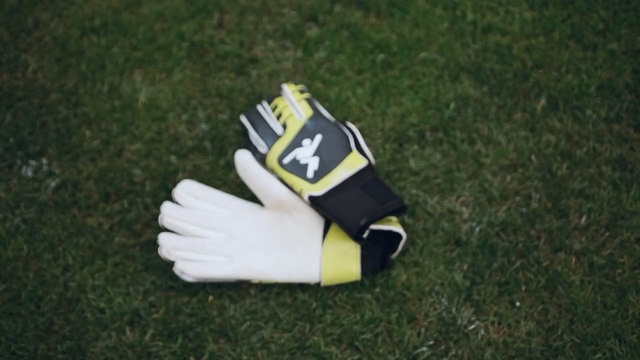 Video Reference N1: Glove, White, Personal protective equipment, Batting glove, Grass, Bicycle glove, Sports gear, Soccer goalie glove, Artificial turf, Finger, Person