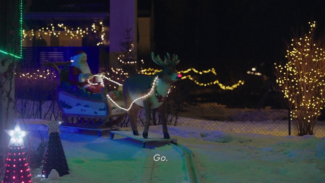 Video Reference N1: Reindeer, Christmas, Light, Deer, Winter, Christmas lights, Tree, Lighting, Christmas decoration, Christmas eve