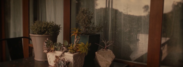 Video Reference N1: Still life photography, Flowerpot, Houseplant, Room, Plant, Ikebana, Flower, Floral design, Still life, Interior design
