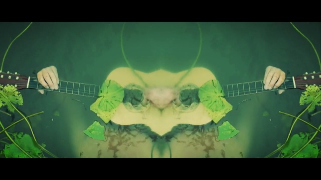 Video Reference N1: Green, Leaf, Organism, Aquatic plant, Photography, Adaptation, Animation, Plant, Symmetry, Illustration