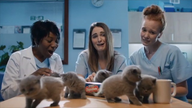 Video Reference N10: Puppy, Canidae, Companion dog, Carnivore, Fawn, Old world monkey, Person