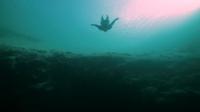 Video Reference N4: underwater, sea, underwater diving, water, scuba diving, divemaster, freediving, ocean, marine biology, diving
