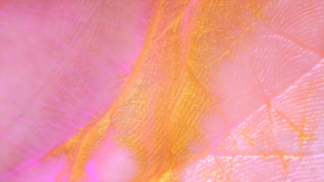 Video Reference N21: Pink, Orange, Yellow, Peach, Close-up, Textile, Magenta
