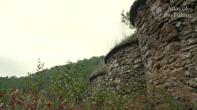 Video Reference N3: Vegetation, Rock, Wall, Outcrop, Grass family, Grass, Tree, Hill station, Landscape, Plant